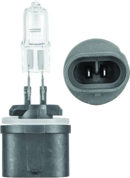 SP1 - ACTION 885 BULB - Image 1