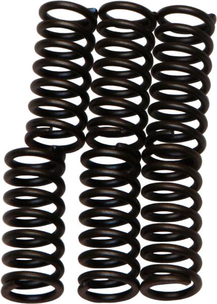 EBC - CLUTCH SPRINGS - Image 1