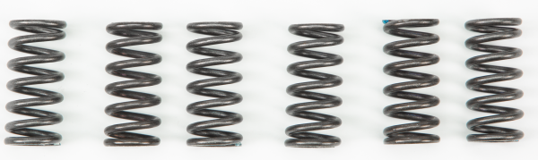 EBC - CLUTCH SPRINGS - Image 1