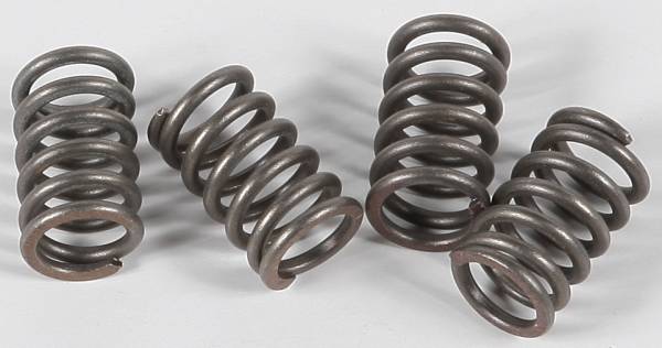 EBC - CLUTCH SPRINGS - Image 1