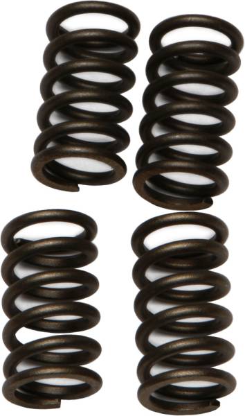 EBC - CLUTCH SPRINGS - Image 1