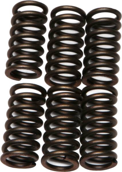 EBC - CLUTCH SPRINGS - Image 1