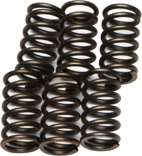 EBC - CLUTCH SPRINGS - Image 1