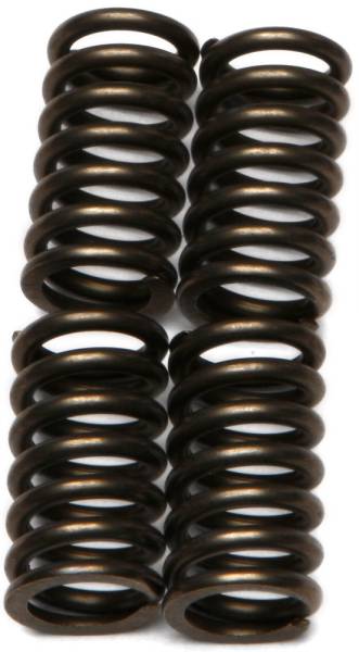 EBC - CLUTCH SPRINGS - Image 1