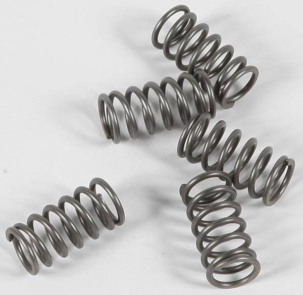 EBC - CLUTCH SPRINGS - Image 1