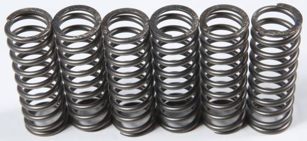 EBC - CLUTCH SPRINGS - Image 1