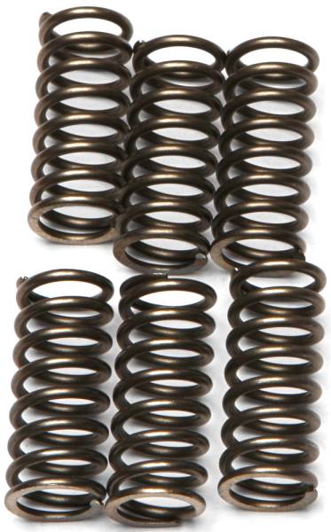 EBC - CLUTCH SPRINGS - Image 1