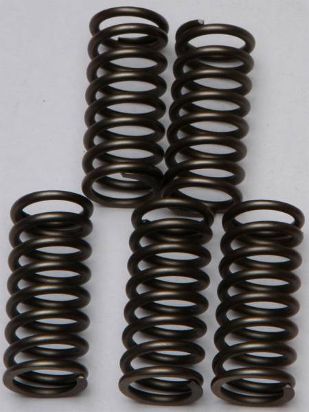 EBC - CLUTCH SPRINGS - Image 1