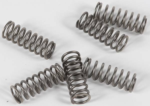 EBC - CLUTCH SPRINGS - Image 1