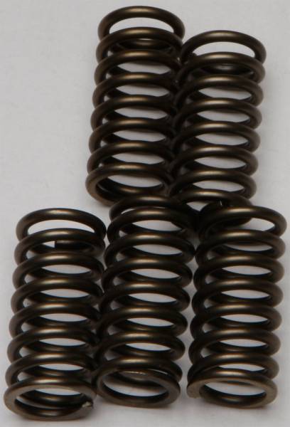 EBC - CLUTCH SPRINGS - Image 1