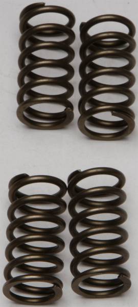 EBC - CLUTCH SPRINGS - Image 1