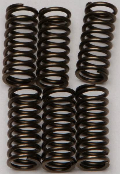 EBC - CLUTCH SPRINGS - Image 1