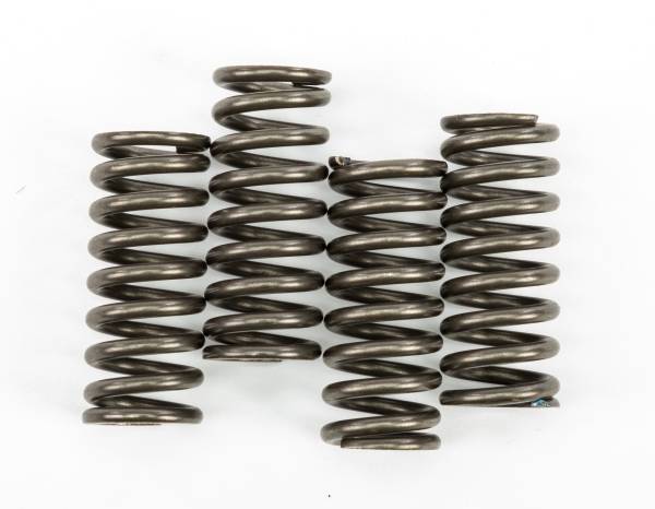 EBC - CLUTCH SPRINGS - Image 1