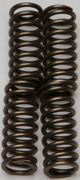 EBC - CLUTCH SPRINGS - Image 1