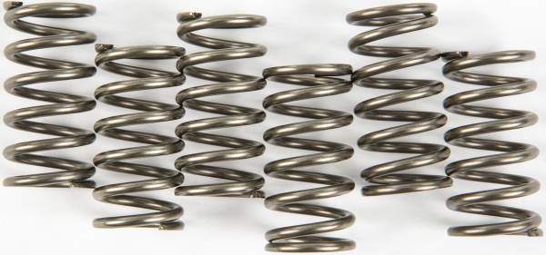 EBC - CLUTCH SPRINGS - Image 1