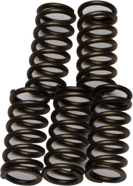 EBC - CLUTCH SPRINGS - Image 1