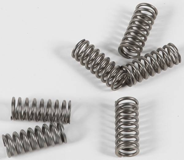 EBC - CLUTCH SPRINGS - Image 1