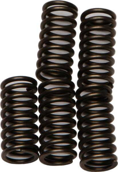 EBC - CLUTCH SPRINGS - Image 1