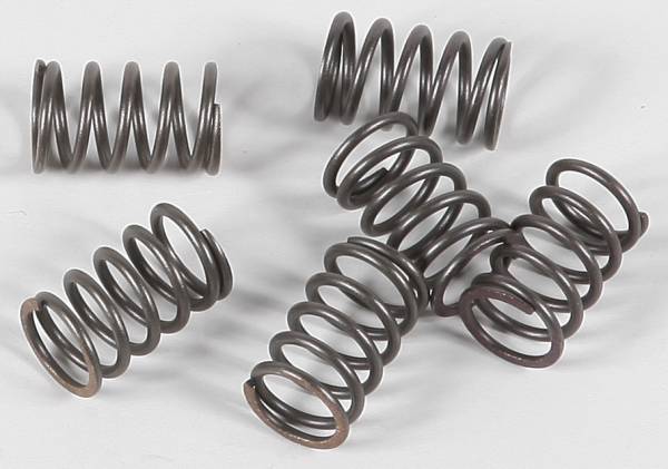 EBC - CLUTCH SPRINGS - Image 1