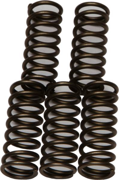 EBC - CLUTCH SPRINGS - Image 1