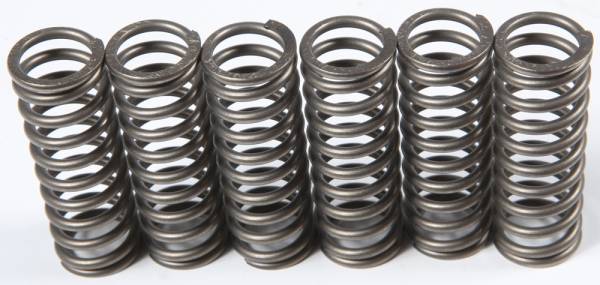 EBC - CLUTCH SPRINGS - Image 1