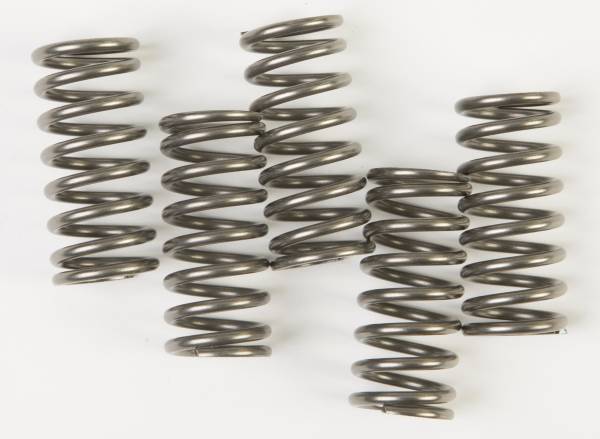 EBC - CLUTCH SPRINGS - Image 1