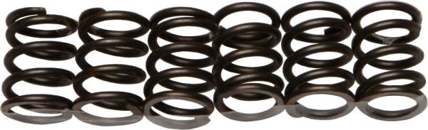 EBC - CLUTCH SPRINGS - Image 1