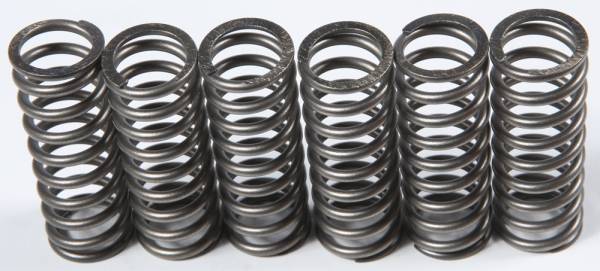 EBC - CLUTCH SPRINGS - Image 1