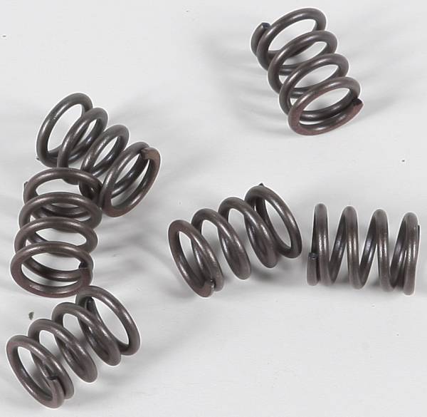 EBC - CLUTCH SPRINGS - Image 1