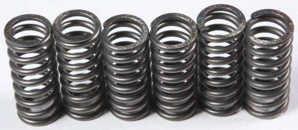 EBC - CLUTCH SPRINGS - Image 1