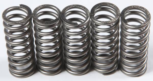 EBC - CLUTCH SPRINGS - Image 1