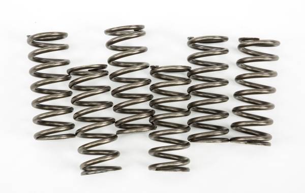 EBC - CLUTCH SPRINGS - Image 1