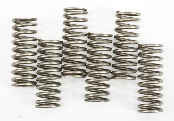 EBC - CLUTCH SPRINGS - Image 1