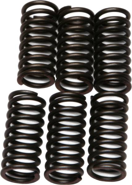 EBC - CLUTCH SPRINGS - Image 1