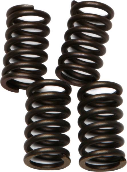 EBC - CLUTCH SPRINGS - Image 1