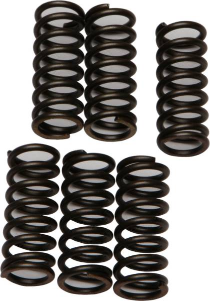 EBC - CLUTCH SPRINGS - Image 1