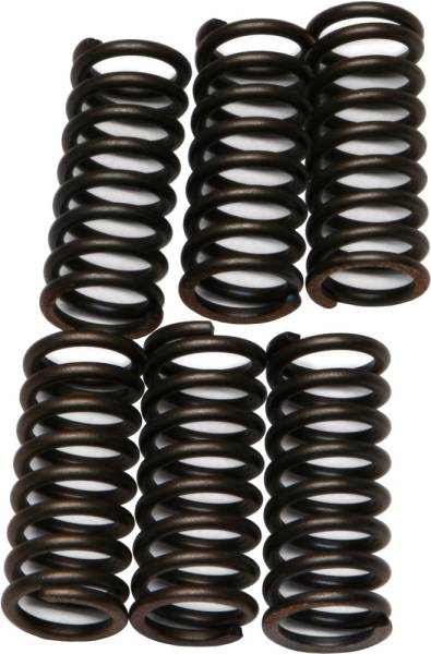 EBC - CLUTCH SPRINGS - Image 1