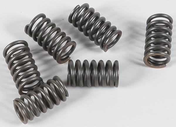 EBC - CLUTCH SPRINGS - Image 1