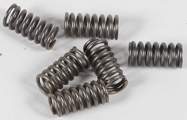 EBC - CLUTCH SPRINGS - Image 1