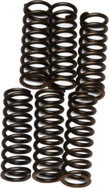 EBC - CLUTCH SPRINGS - Image 1