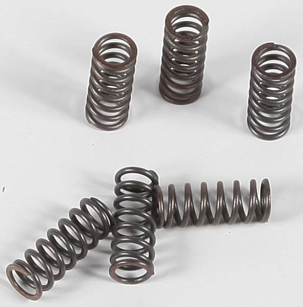 EBC - CLUTCH SPRINGS - Image 1