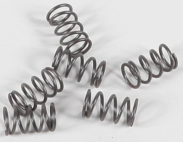 EBC - CLUTCH SPRINGS - Image 1