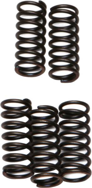 EBC - CLUTCH SPRINGS - Image 1