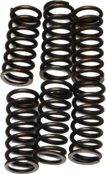 EBC - CLUTCH SPRINGS - Image 1