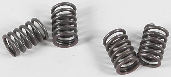 EBC - CLUTCH SPRINGS - Image 1