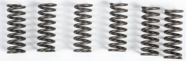 EBC - CLUTCH SPRINGS - Image 1