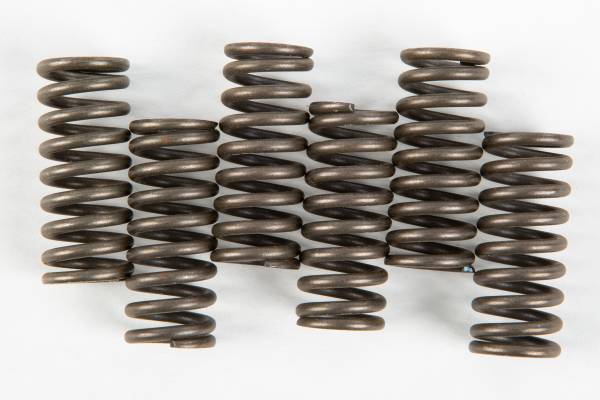 EBC - CLUTCH SPRINGS - Image 1