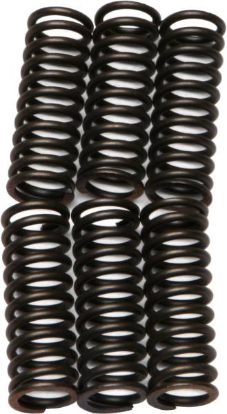 EBC - CLUTCH SPRINGS - Image 1