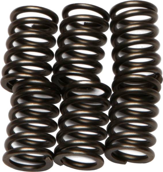 EBC - CLUTCH SPRINGS - Image 1