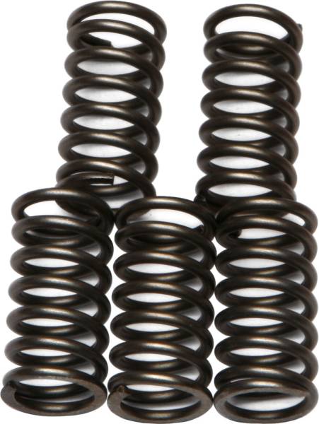 EBC - CLUTCH SPRINGS - Image 1